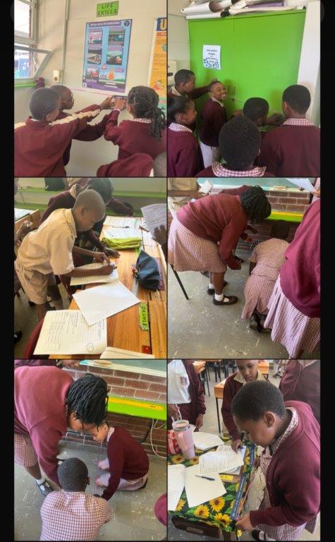 Project Term (4)